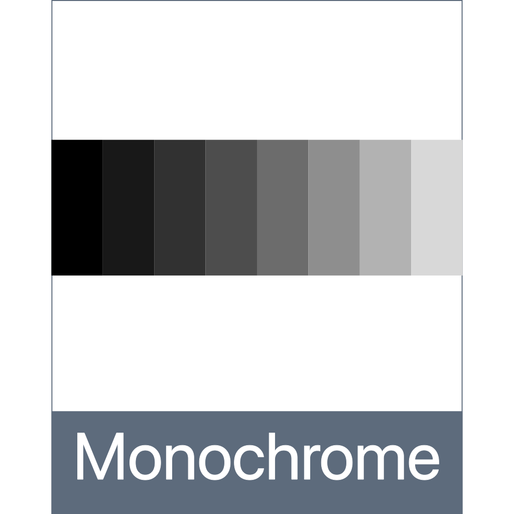 monochrome Document Icon